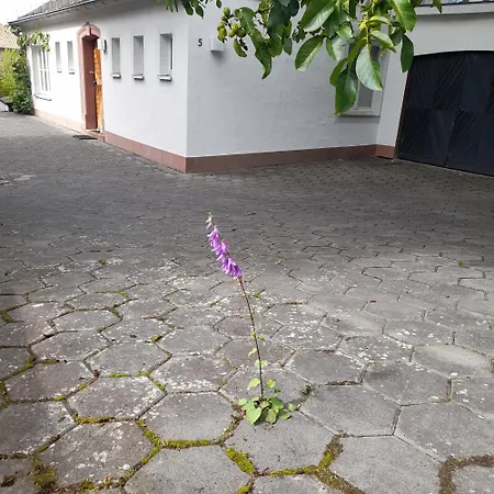 Apartman Eifel Panorama Speicher