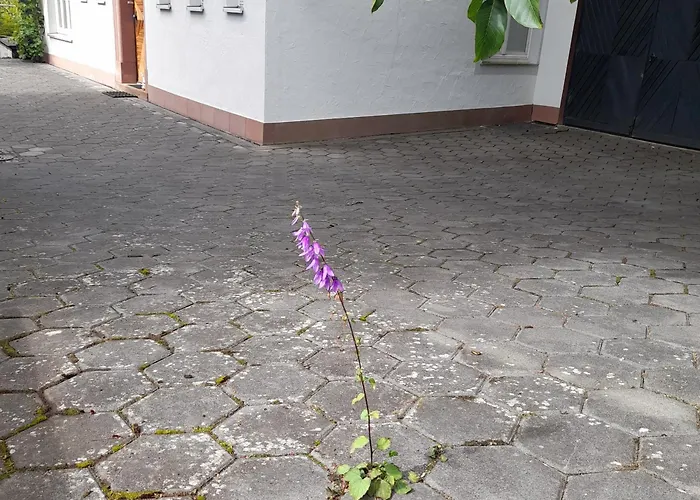 Apartment Eifel Panorama Speicher